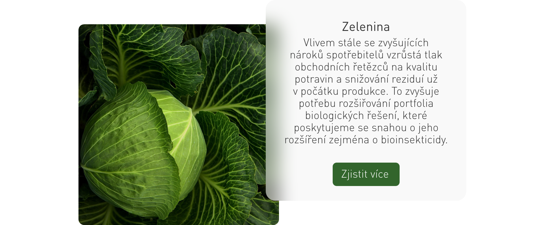 zelenina blok 5